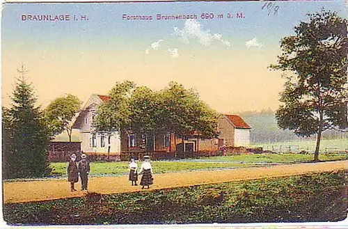 03752 Ak Braunlage i. Harz Forsthaus Brunnenbach um 1910