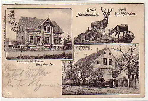 03694 Ak Gruß vom Jädtkemühler Waldfrieden 1908