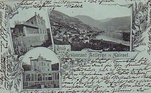 03620 Ak Gruß aus Restaurant Bellevue in Salesel 1909