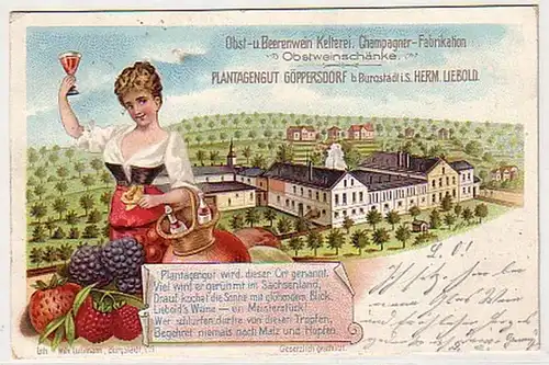 03581 Ak Plantagengut Göppersdorf bei Burgstädt 1902