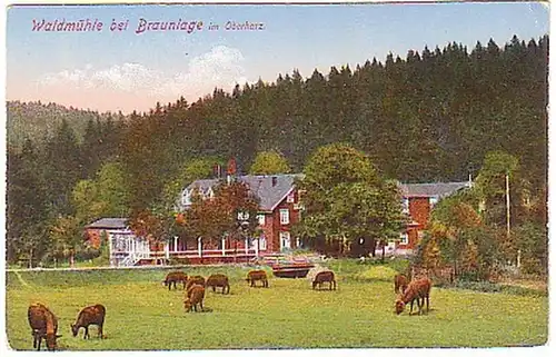 03485 Ak Waldmühle à brun position dans la résine supérieure vers 1910