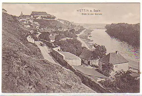 03386 Ak Wettin a. Saale Blick in das Saaletal 1911