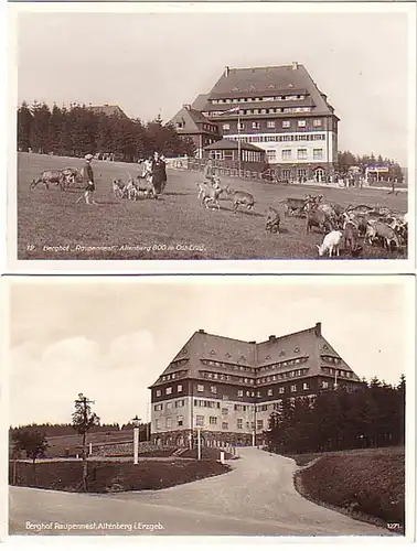 03104/2 Ak Altenberg Berghof "Raupennest"um 1940