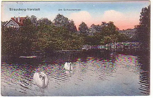 03089 Ak Strausberg Vorstadt Schwanensee um 1920