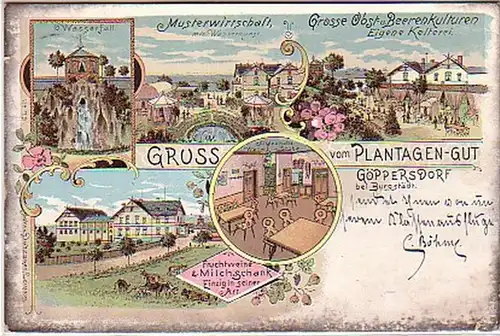 03001 Ak Lithographie Salutation de Göppersdorf 1899