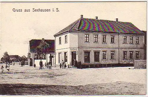02887 Ak Gruß aus Seehausen in Sachsen um 1910