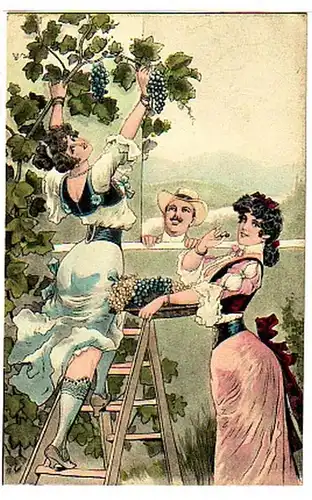 02762 Ak Erotik leichtbekleidete Dame bei der Lese 1905
