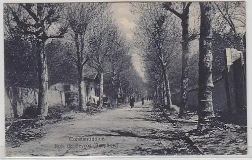 02515 Ak Constantinople in der Türkei Bois de Beycos (Bosphore) um 1910