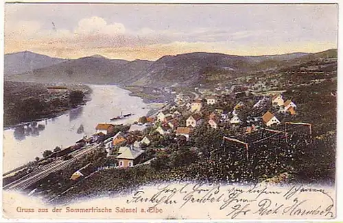 02485 Ak Gruss de la fraîcheur d'été Salesel a. Elbe 1905