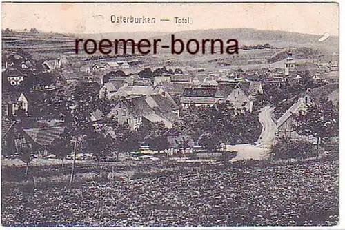 02229 Ak Osterburken Totalansicht 1919