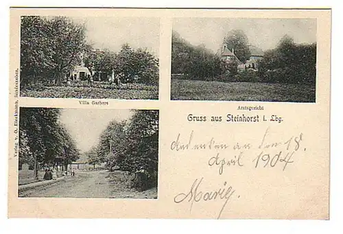 02139 Ak Gruss aus Steinhorst in Lbg. um 1900