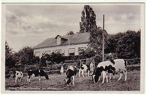 02092 Ak Erbhof Schmidtenhöhe bei Koblenz 1937