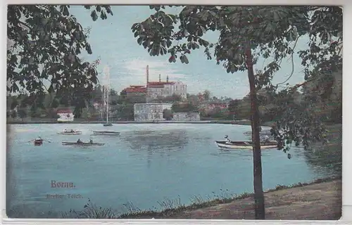 02082 Ak Borna Breiter Teich mit Brauerei im Hintergrund 1912
