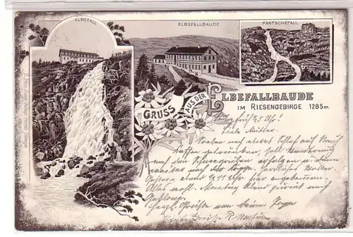 01117 Ak Lithographie Gruß aus der Elbefallbaude im Riesengebirge 1904
