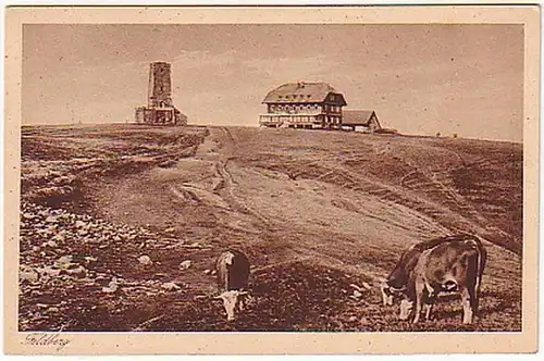 01067 Ak Feldbergturm et Gasthof (Forêt Noire) vers 1930