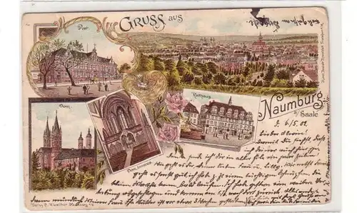 00816 Ak Lithografie Gruss aus Naumburg Post usw. 1902