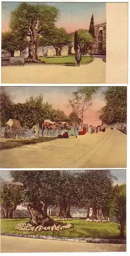 00557/3 Ak Jérusalem, Caire vers 1920