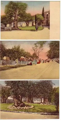 00557/3 Ak Jerusalem, Kairo um 1920