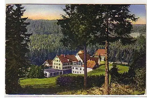 00362 Ak Hotel & Kurhaus Ruhestein im Schwarzwald 1914