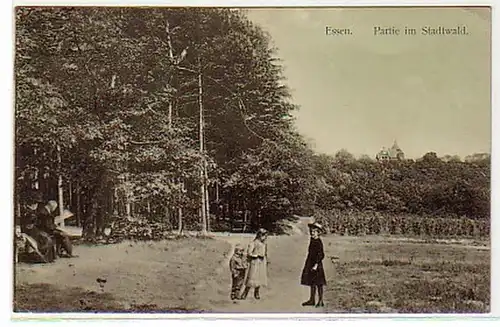 00344 Ak Essen Partie dans la forêt de la ville 1911