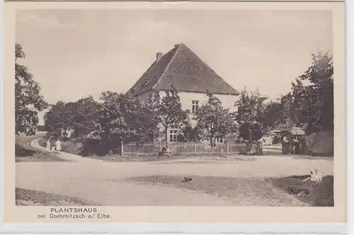 00194 Ak Plantshaus près de Dommitzsch a. Elbe vers 1930
