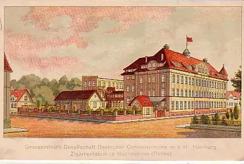 00171 Ak Cigares Fabrique à Hockenheim (Baden) vers 1910