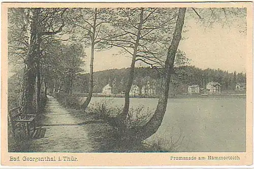 00146 Ak Bad Georgenthal in Thür. Hammerteich um 1930