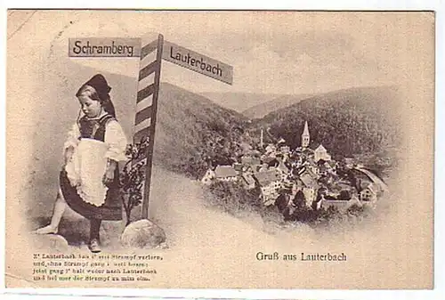 00110 Ak Gruß aus Lauterbach Totalansicht 1924