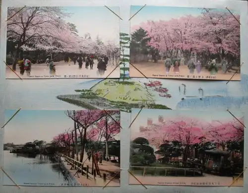 Album de qualité avec image de couvercle Japon avec 57 cartes vers 1900 (144370)