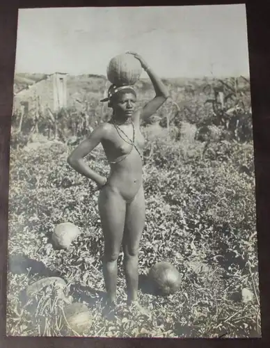 Album photo DSWA Allemand Afrique du Sud-Ouest 51 images originales Hans Krüger (117723)