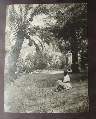 Album photo DSWA Allemand Afrique du Sud-Ouest 51 images originales Hans Krüger (117723)