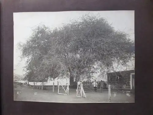 Album photo DSWA Allemand Afrique du Sud-Ouest 51 images originales Hans Krüger (117723)