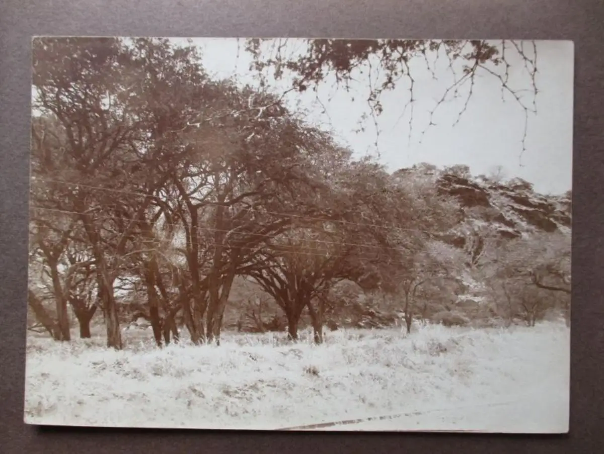 Fotoalbum DSWA Deutsch Südwestafrika 39 Originalaufnahmen um 1912 (110085) 5