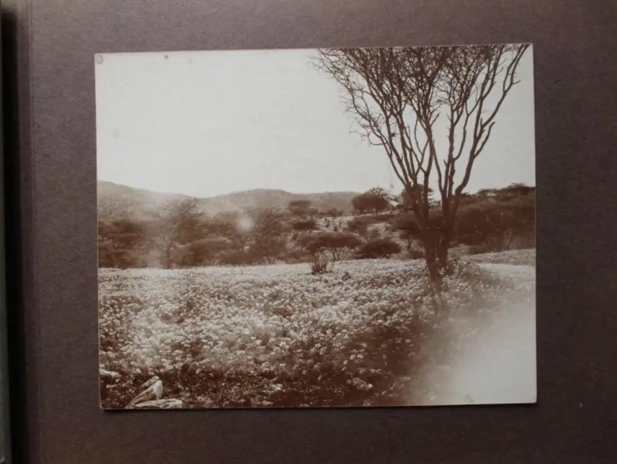 Fotoalbum DSWA Deutsch Südwestafrika 39 Originalaufnahmen um 1912 (110085) 7
