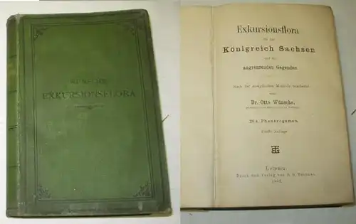 Flora d'excursion pour le royaume de Saxe et les régions limitrophes - Les Phanerogamen