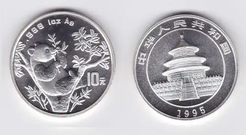 10 pièce d'argent Yuan Chine 1995 Panda 1 once d ' argent (119545)
