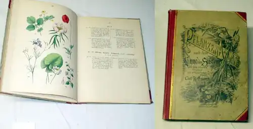 Atlas de plantes selon le système de LinneÂ