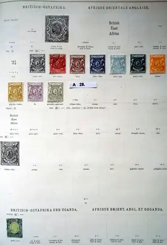 schöne hochwertige Briefmarkensammlung Britische Kolonien in Afrika ab 1890
