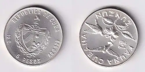5 Pesos Silber Münze Kuba Cuba 1981 Fauna Cubana Bienen-Kolibri Stgl. (20/2/167345)