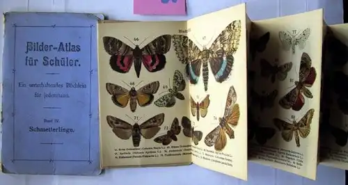 Ohne Verfasser: Bilder-Atlas für Schüler. Ein unterhaltendes Büchlein für jedermann. Band IV: Schmetterlinge.