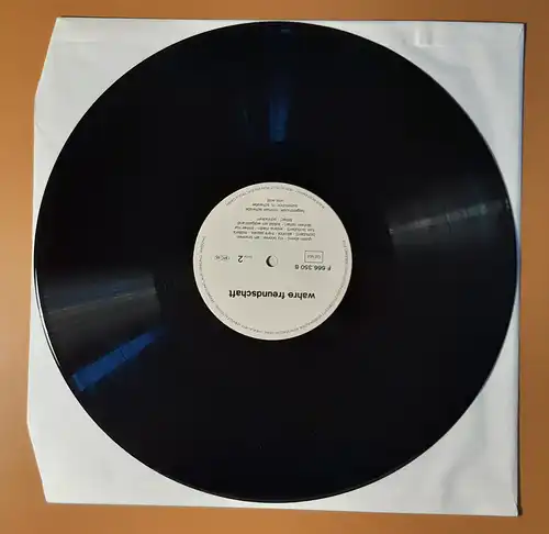 Vinyl | LP: Valie Export & Monsti Wiener* – Wahre Freundschaft