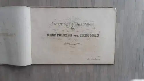 Scheuren, Caspar: Das Nahe-Thal. Von dem Ursprunge der Nahe bis zu ihrer Mündung in den Rhein. Nach der Natur aufgenommen von J.C. Scheuren. Auf Stein gezeichnet von A. Borum und A. Brandmayer. Mit lithogr. Titel von D. Levy, lithogr. Widmungsblatt...