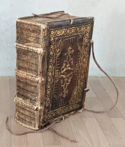 [Petrus Angelus, de Monte Ulmi]: Liber Uite : Biblia cum Tabula Alphabetica & cu[m] singulis suis locis co[n]corda[n]tibus, Sacraq[ue] illustratione catholice fidei summa cu[m] lucubratiione eme[n]data, ac nouiter i[m]pressa. 