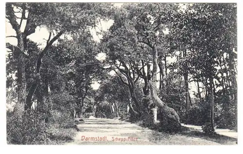 AK Darmstadt, Schepp Allee, gel. 1917