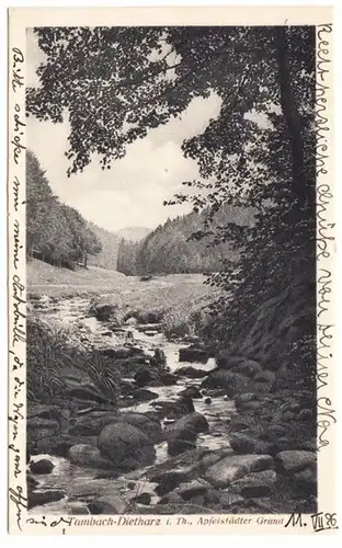 AK Tambach-Dietharz, Apfelstädter Grund, gel. 1926