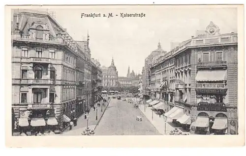 AK Frankfurt a.M. Kaiserstraße, Fleurs et plumes- L. Hirsch, ohnl.