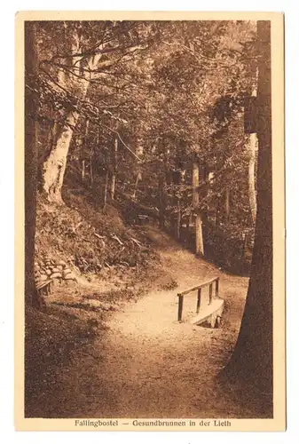 AK Bad Fallingbostel, Gesundbrunnen in der Lieth, gel. 1925