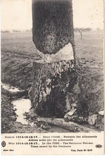 CPA Guerre 1914-1917, Dans l'Oise - Retraite des Allemands - Arbres sciés par les Alleremans, ohnl.