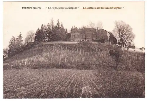 CPA Diémoz, Le Repos sous les Sapins, Le Chateau vu des Grand Vignes, ungel.