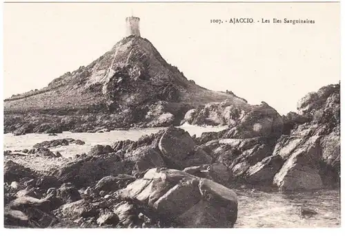 CPA Ajaccio, Les Iles Sanguinaires, ungel.